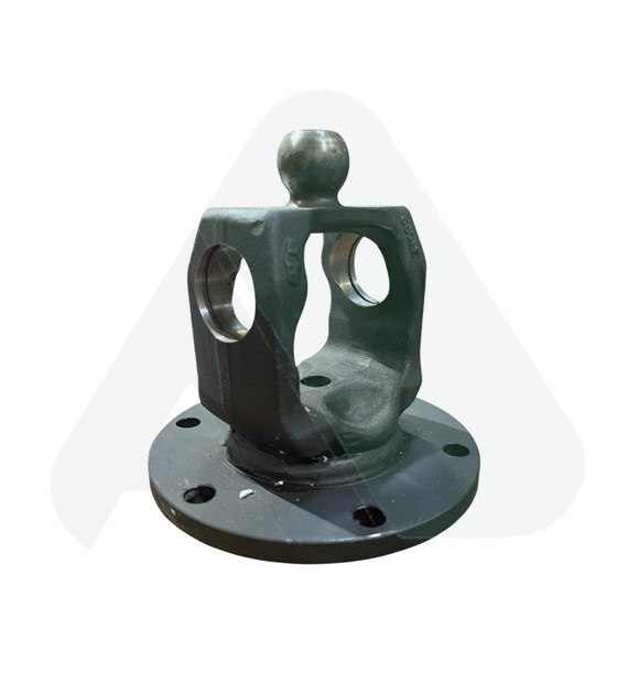 Widłak kołnierzowy homok. WW2580