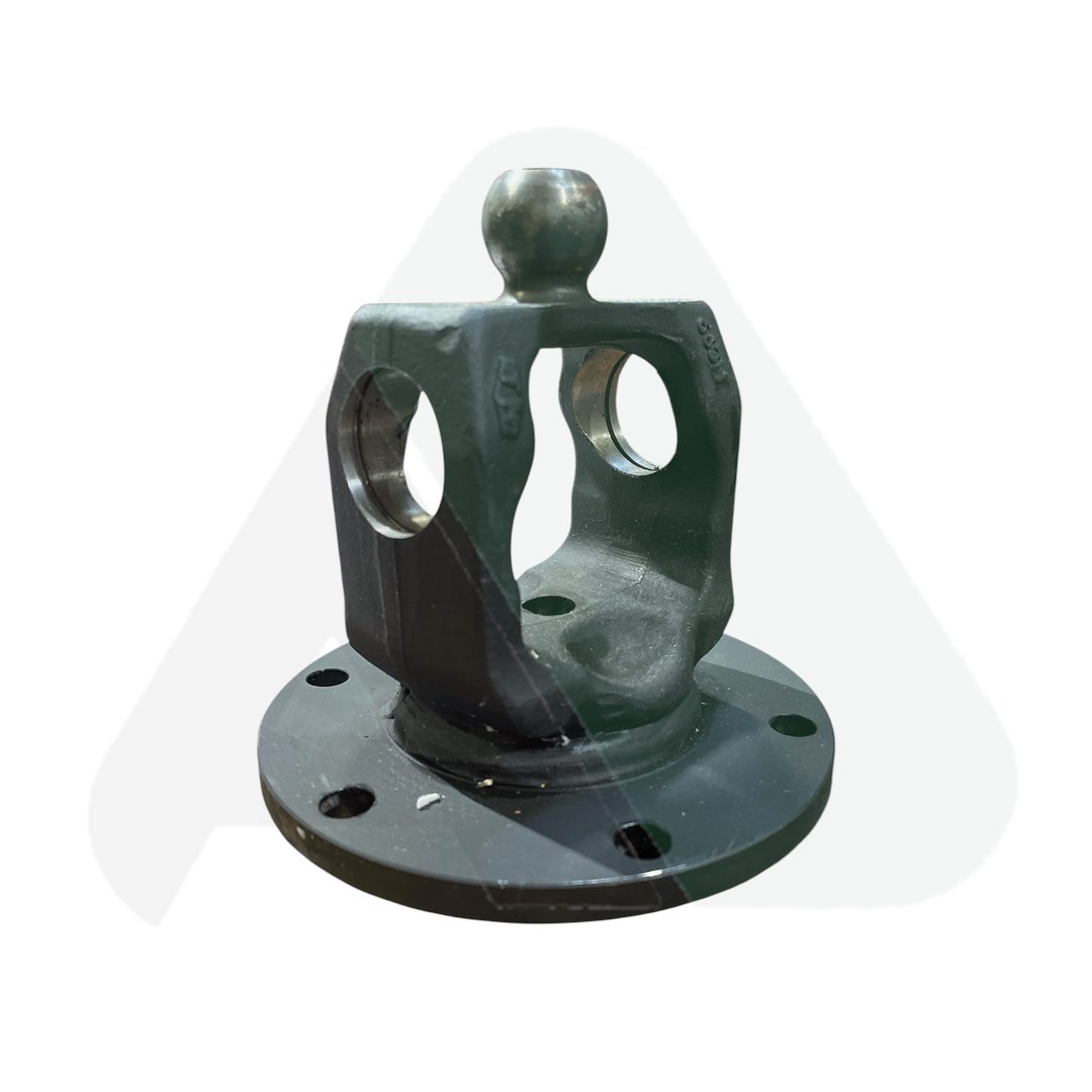 Widłak kołnierzowy homok. WW2580