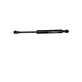 Gas spring for door