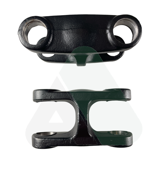 Widłak podwójny, 02